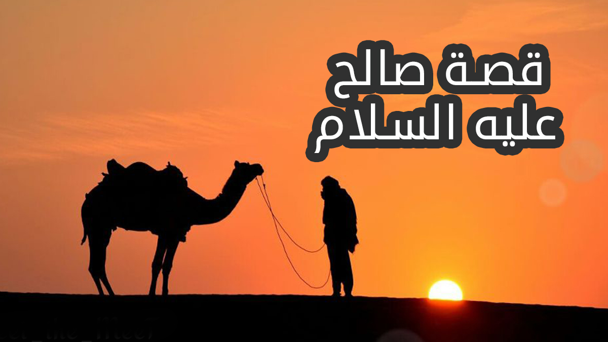 قصص-الانبياء-قصص-دينية-قصة-نبي-الله-صالح-عليه-السلام-خلفية-لناقة-و-رجل.jpg