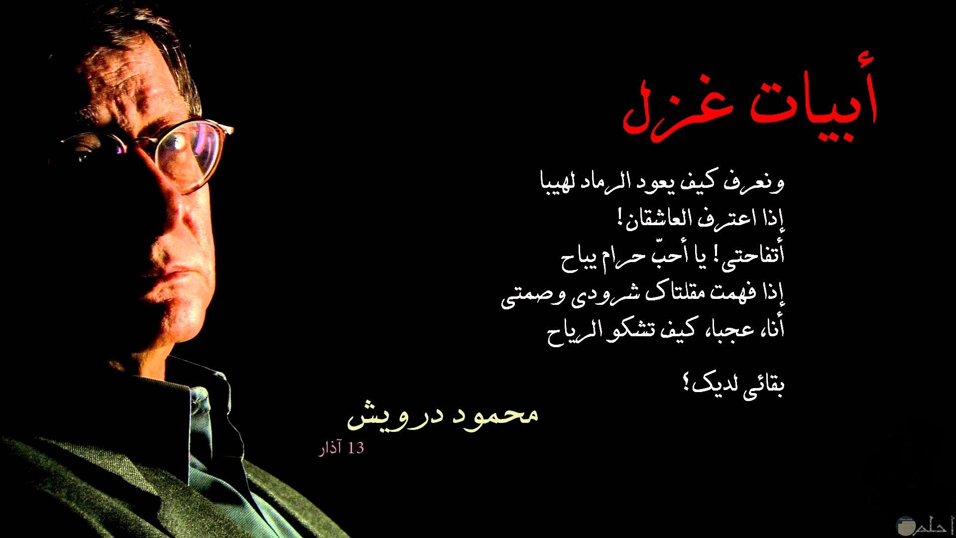 صور-حب-صور-غزل-صور-عشق-صور-رومانسية-صور-شعر-عبارات-حب-عبارات-رومانسية-فيس-بوك-6.jpg