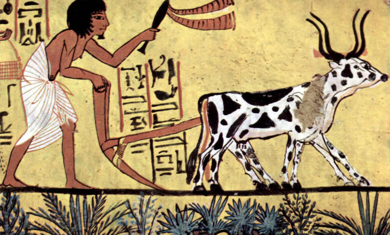 الحياة اليومية في مصر القديمة