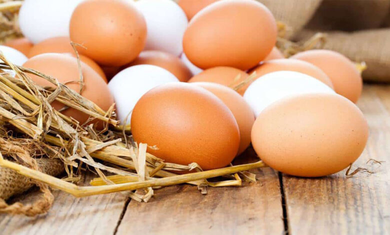 الفرق بين البيض البلدي والأحمر والأبيض