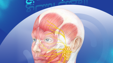 العصب السابع