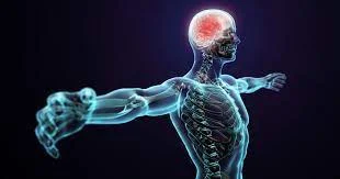 الوقاية من التهاب الأعصاب